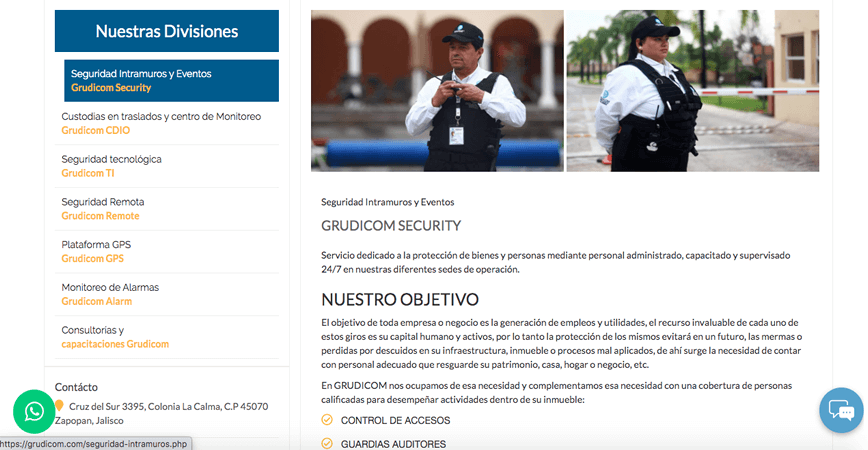 Paginas Web Guadalajara Grudicom